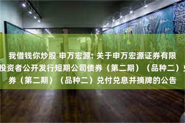 我借钱你炒股 申万宏源: 关于申万宏源证券有限公司2023年面向专业投资者公开发行短期公司债券(第二期)(品种二)兑付兑息并摘牌的公告