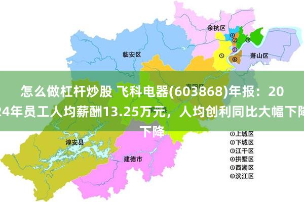 怎么做杠杆炒股 飞科电器(603868)年报:2024年员工人均薪酬13.25万元,人均创利同比大幅下降