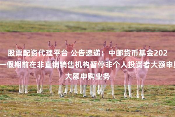 股票配资代理平台 公告速递:中邮货币基金2025年五一假期前在非直销销售机构暂停非个人投资者大额申购业务