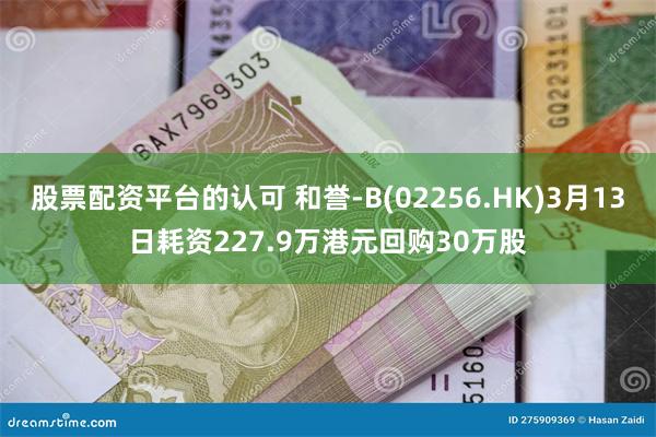 股票配资平台的认可 和誉-B(02256.HK)3月13日耗资227.9万港元回购30万股
