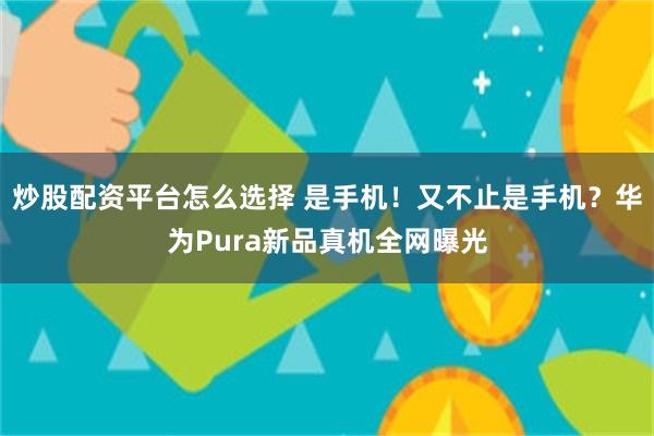 炒股配资平台怎么选择 是手机!又不止是手机?华为Pura新品真机全网曝光