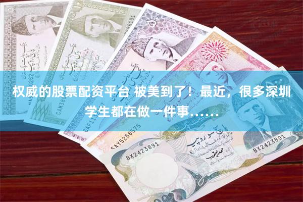 权威的股票配资平台 被美到了!最近,很多深圳学生都在做一件事……