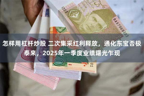 怎样用杠杆炒股 二次集采红利释放,通化东宝否极泰来,2025年一季度业绩曙光乍现