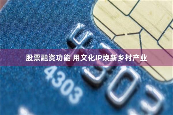 股票融资功能 用文化IP焕新乡村产业