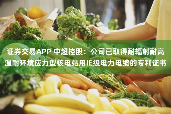 证券交易APP 中超控股：公司已取得耐辐射耐高温耐环境应力型核电站用IE级电力电缆的专利证书
