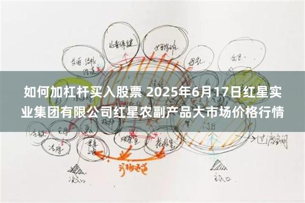 如何加杠杆买入股票 2025年6月17日红星实业集团有限公司红星农副产品大市场价格行情