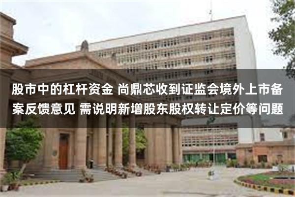 股市中的杠杆资金 尚鼎芯收到证监会境外上市备案反馈意见 需说明新增股东股权转让定价等问题