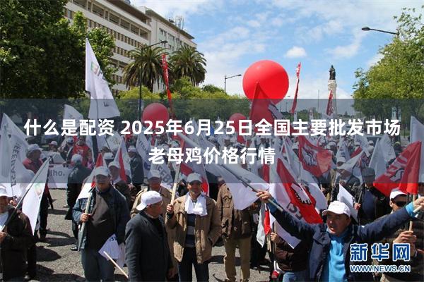 什么是配资 2025年6月25日全国主要批发市场老母鸡价格行情