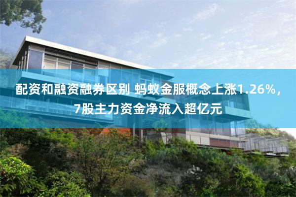 配资和融资融券区别 蚂蚁金服概念上涨1.26%,7股主力资金净流入超亿元