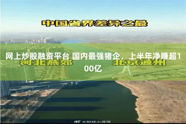 网上炒股融资平台 国内最强猪企,上半年净赚超100亿