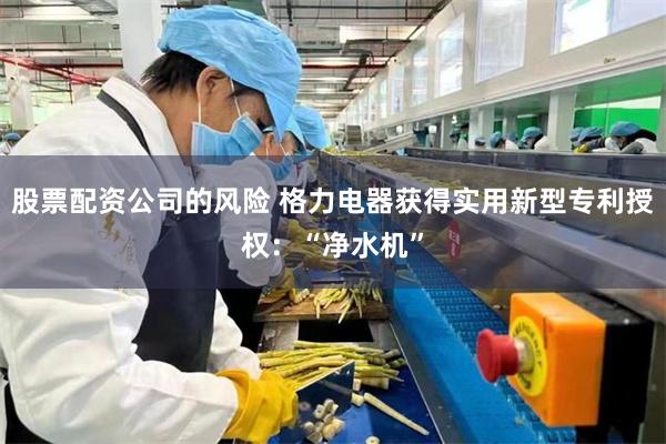股票配资公司的风险 格力电器获得实用新型专利授权：“净水机”