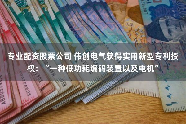 专业配资股票公司 伟创电气获得实用新型专利授权：“一种低功耗编码装置以及电机”