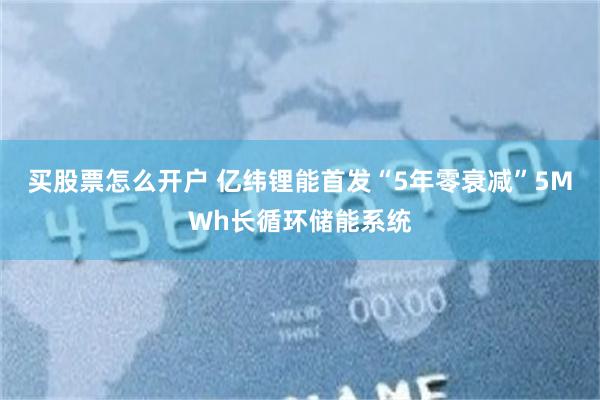 买股票怎么开户 亿纬锂能首发“5年零衰减”5MWh长循环储能系统