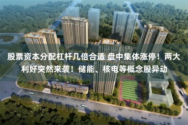 股票资本分配杠杆几倍合适 盘中集体涨停!两大利好突然来袭!储能、核电等概念股异动