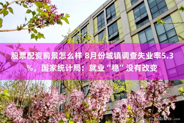 股票配资前景怎么样 8月份城镇调查失业率5.3%，国家统计局：就业“稳”没有改变